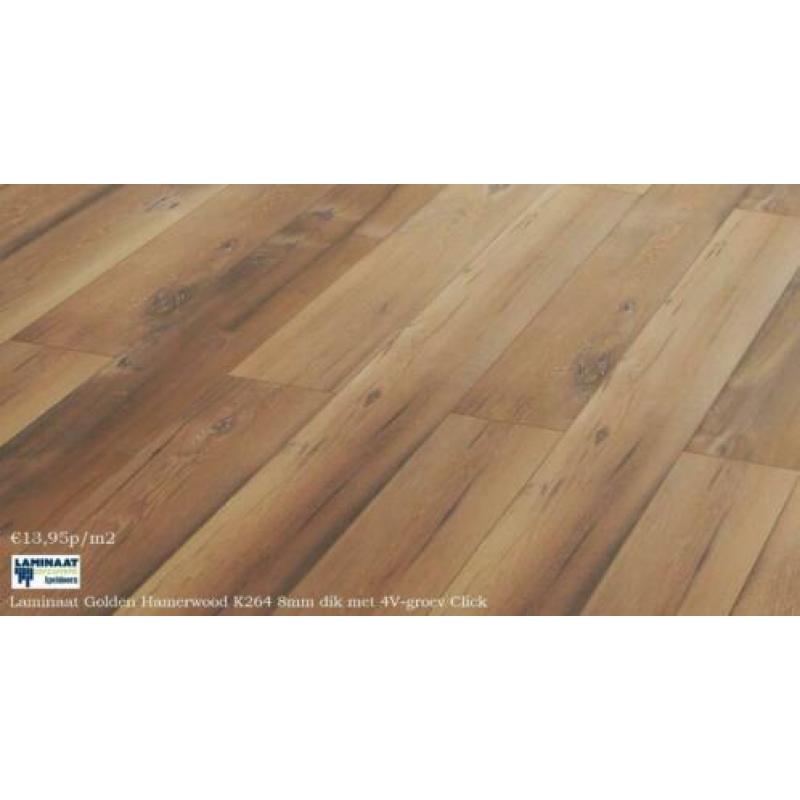 Laminaat Golden Hammerwood K264 8mm dik 4V-Groev €13,95m2