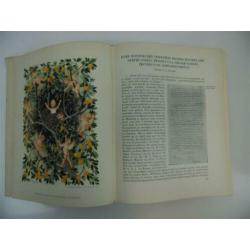 Holkema & Warendorf Officieel Gedenkboek 1938 Wilhelmina