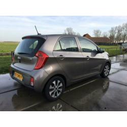 KIA Picanto 1.0 Cvvt 5-DRS 2016 Grijs