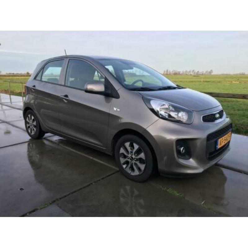 KIA Picanto 1.0 Cvvt 5-DRS 2016 Grijs