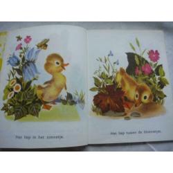 Gouden Boekje 10 HET EIGENWIJZE EENDJE De Bezige Bij