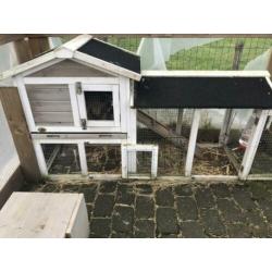 Twee hangoor konijnen inclusief hok en ren
