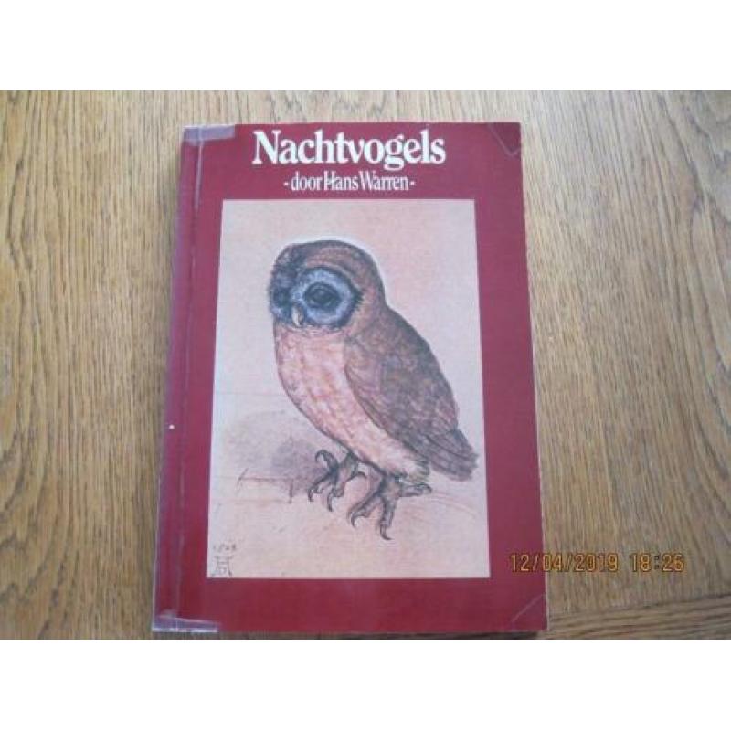 Nacht vogels