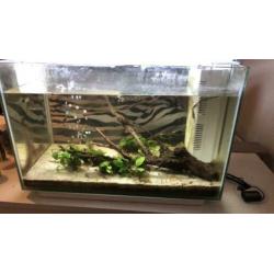 Superfish home 60 (60L) COMPLEET LED