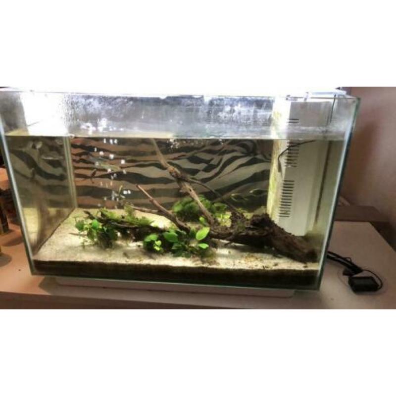 Superfish home 60 (60L) COMPLEET LED
