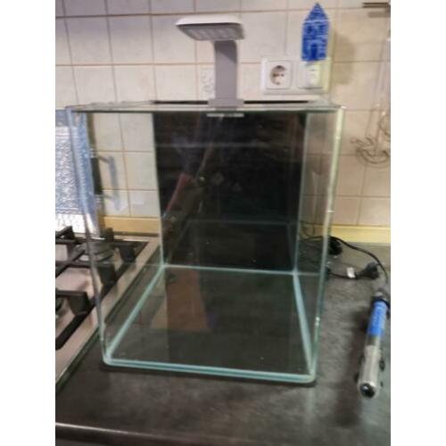 Nano cube aquarium