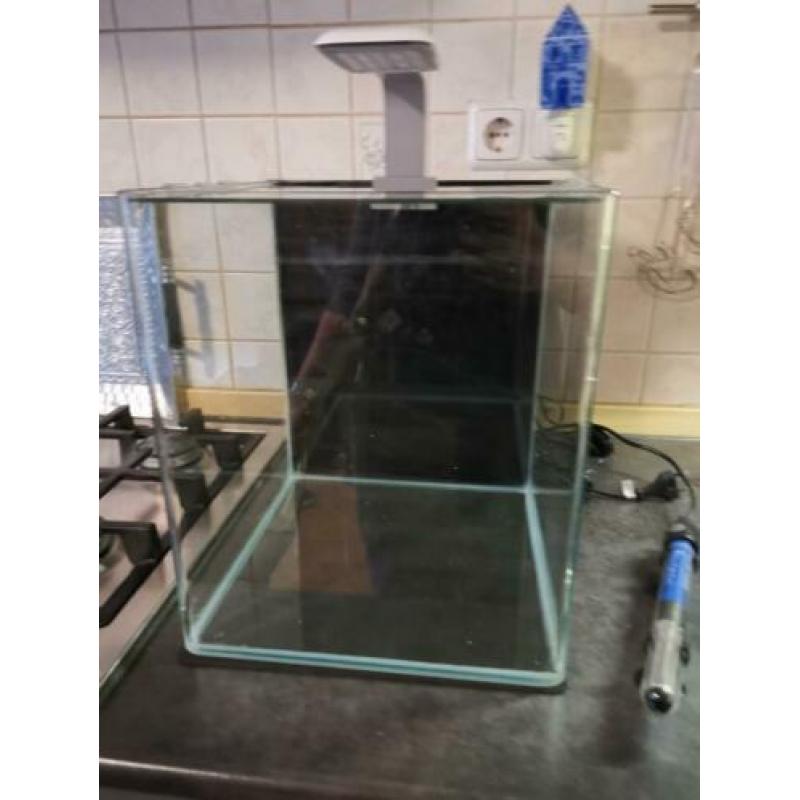 Nano cube aquarium