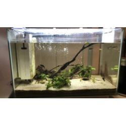 Superfish home 60 (60L) COMPLEET LED