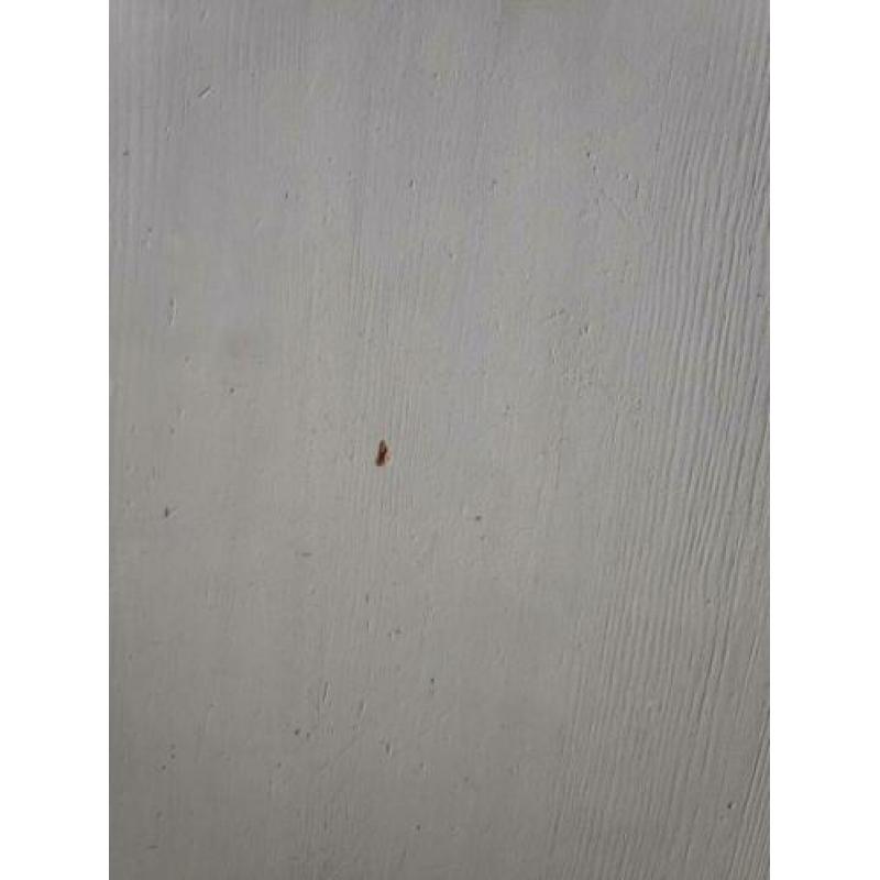 Eettafel wit 120x75