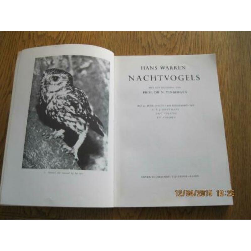 Nacht vogels
