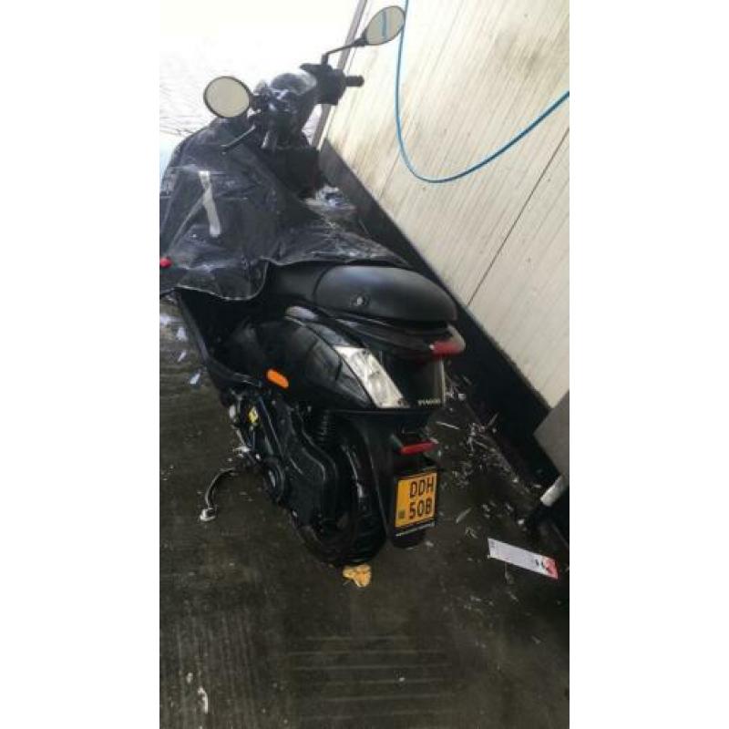 Piaggio zip brom 2015