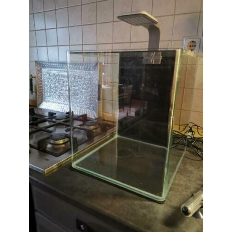Nano cube aquarium