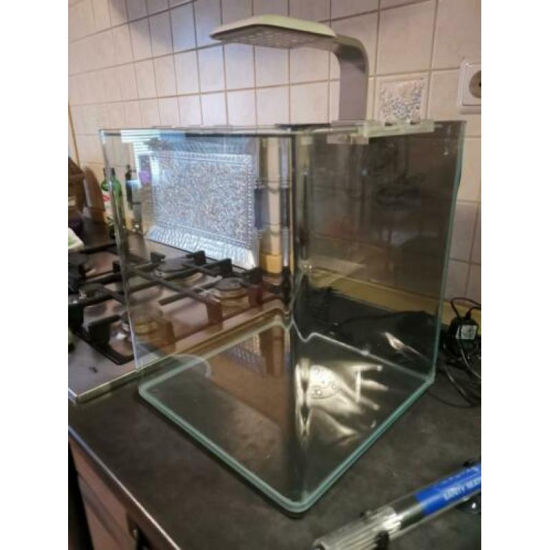 Nano cube aquarium