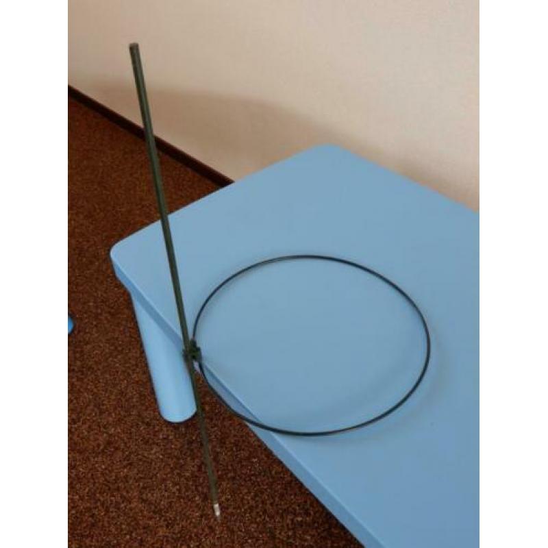 KOOPJE Planten/siergras ringen diameter 33cm, stokken, klemm