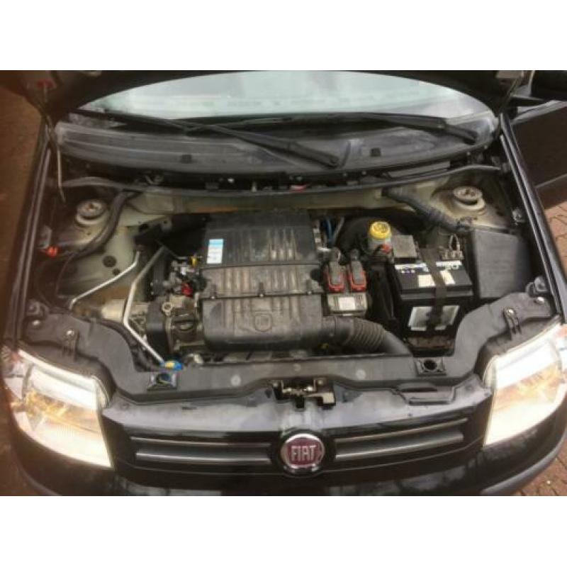 te koop Fiat Panda 1.2