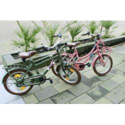 Alpina Cargo 16 inch oud roze transport fiets voor meisjes