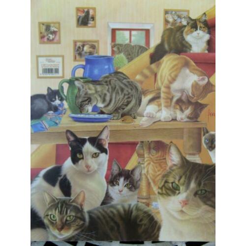 Kattenoppas Aanbod Stad Utrecht Referenties Aanwezig