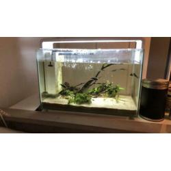 Superfish home 60 (60L) COMPLEET LED