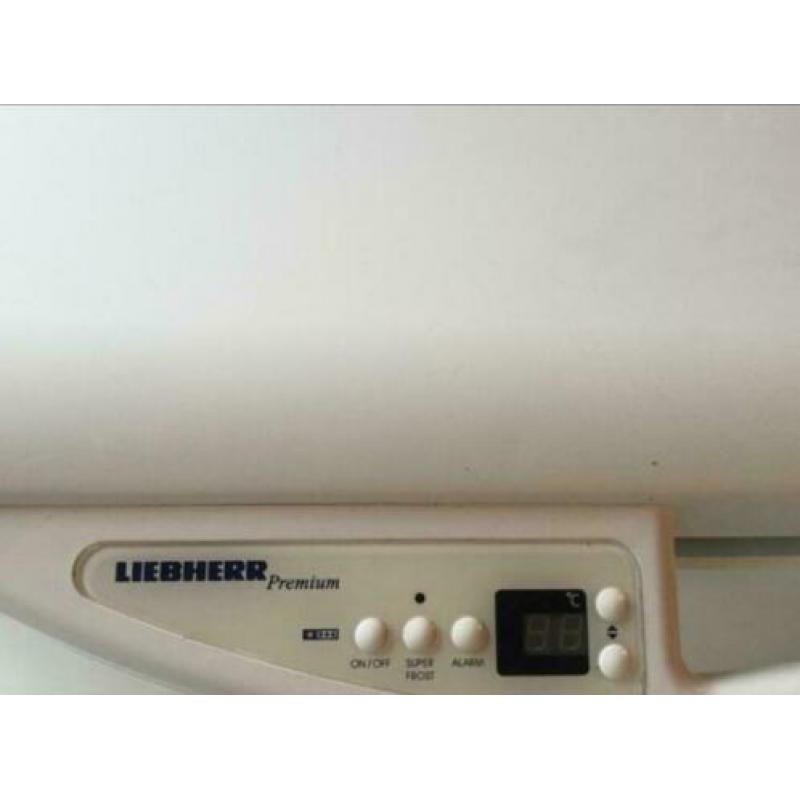Liebherr premium vrieskist 245L