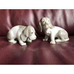 Set van twee pups
