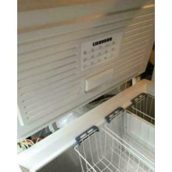 Liebherr premium vrieskist 245L