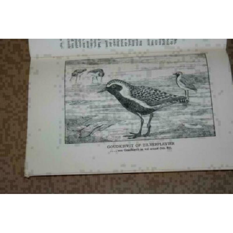 Ned Vereeniging tot Bescherming van Vogels - 1924-1928 !!
