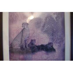 Mooie grote Afrikaanse dieren prints achter glas