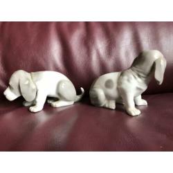 Set van twee pups
