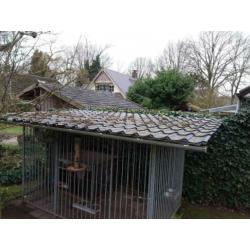 Hondenkennel