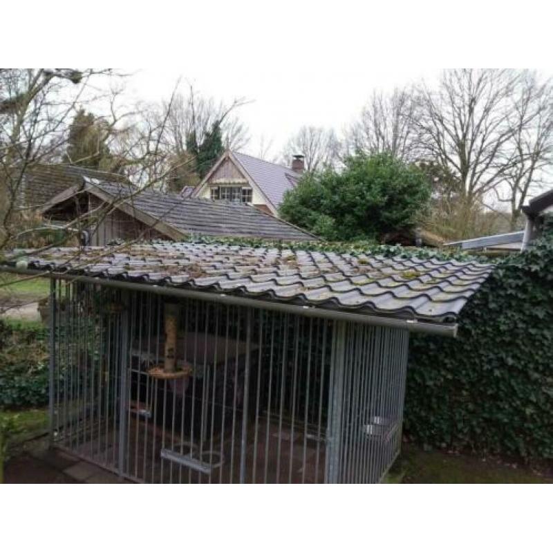 Hondenkennel