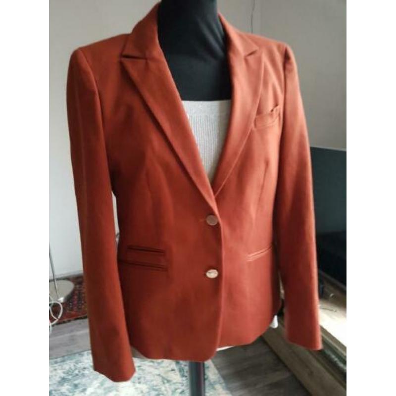 Blazer Tommy Hilfiger