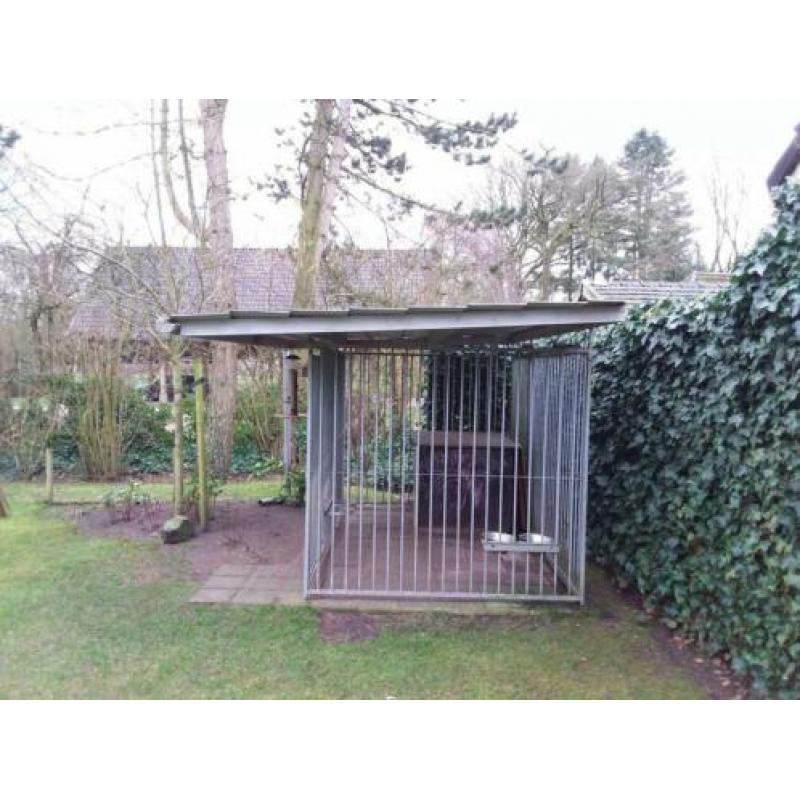 Hondenkennel