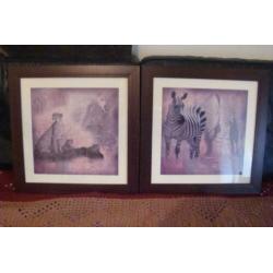 Mooie grote Afrikaanse dieren prints achter glas