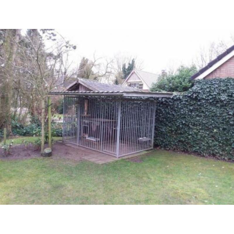 Hondenkennel