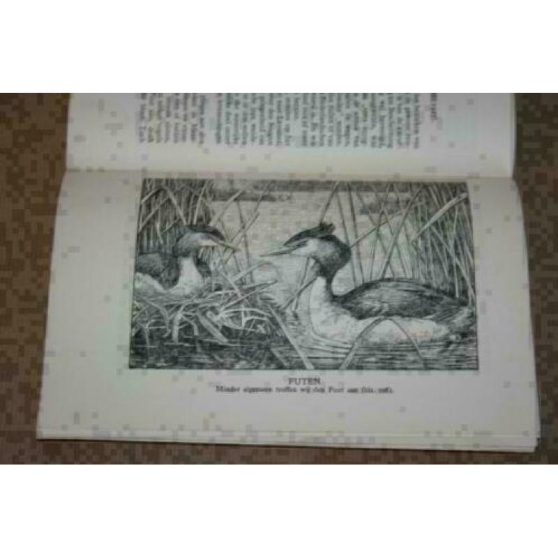 Ned Vereeniging tot Bescherming van Vogels - 1924-1928 !!