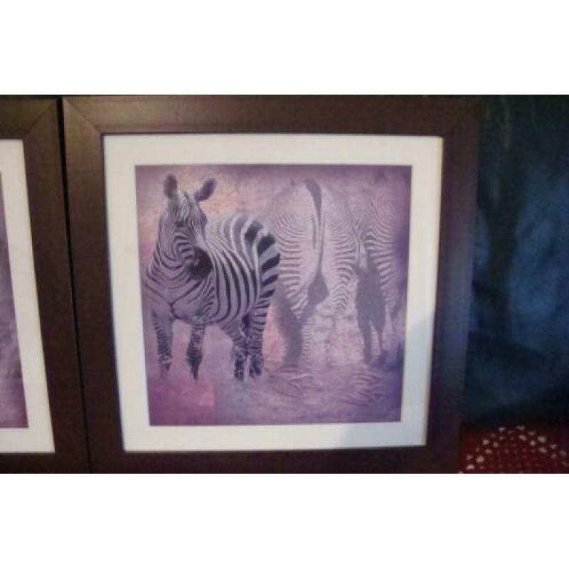 Mooie grote Afrikaanse dieren prints achter glas