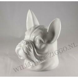 Franse bulldog kop nieuw beeld bulldog kop nieuw pracht beel