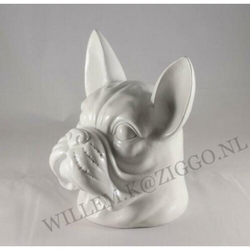 Franse bulldog kop nieuw beeld bulldog kop nieuw pracht beel