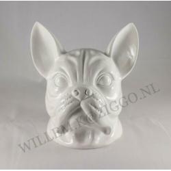 Franse bulldog kop nieuw beeld bulldog kop nieuw pracht beel