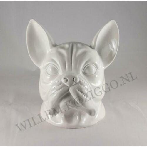 Franse bulldog kop nieuw beeld bulldog kop nieuw pracht beel