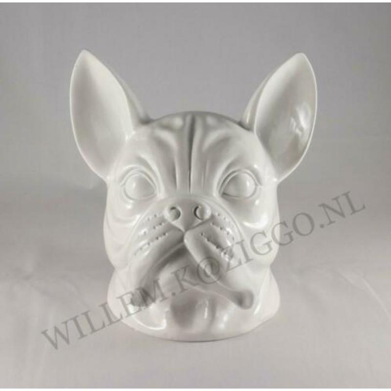 Franse bulldog kop nieuw beeld bulldog kop nieuw pracht beel