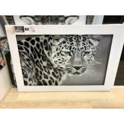 Jaguar glasschilderij 120x80cm Eric kuster stijl