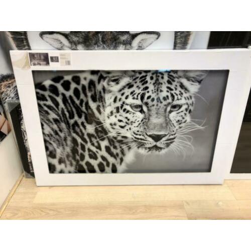 Jaguar glasschilderij 120x80cm Eric kuster stijl