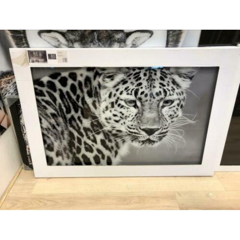 Jaguar glasschilderij 120x80cm Eric kuster stijl