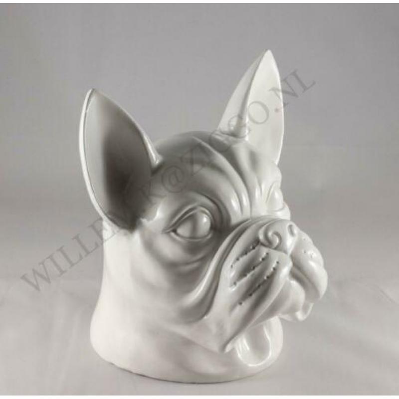 Franse bulldog kop nieuw beeld bulldog kop nieuw pracht beel