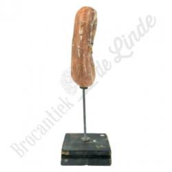 Unieke oude vintage Anatomisch model nier No.2
