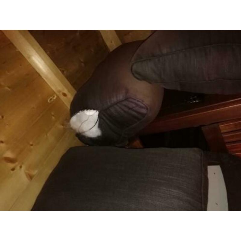 Kussens loungeset