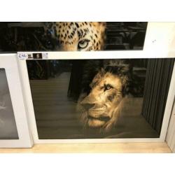 Jaguar glasschilderij 120x80cm Eric kuster stijl