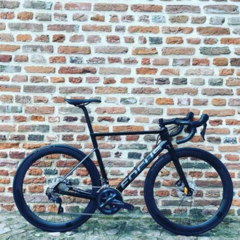 Focus Izalco Max 8.8