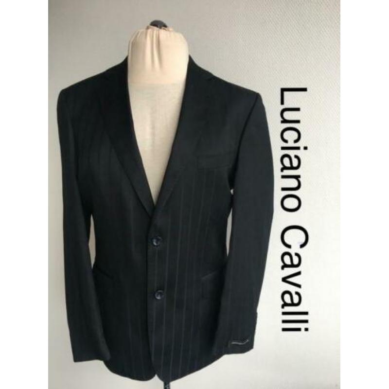 Luciano Cavalli Colbert (mt: 50) 1512/ZL